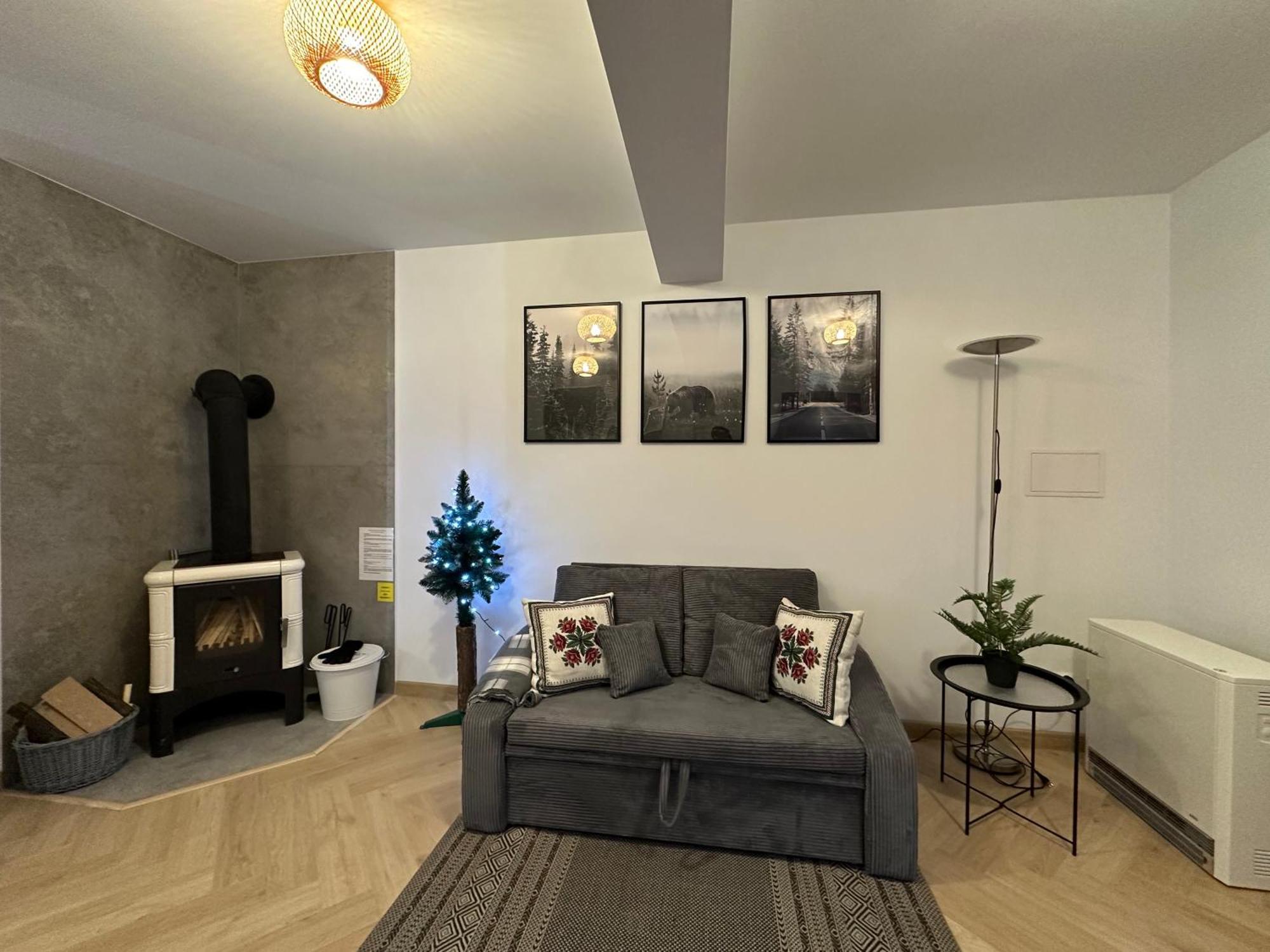 Apartament Skandynawska Prostota Z Basenem I Sauna 考斯赛力克 外观 照片